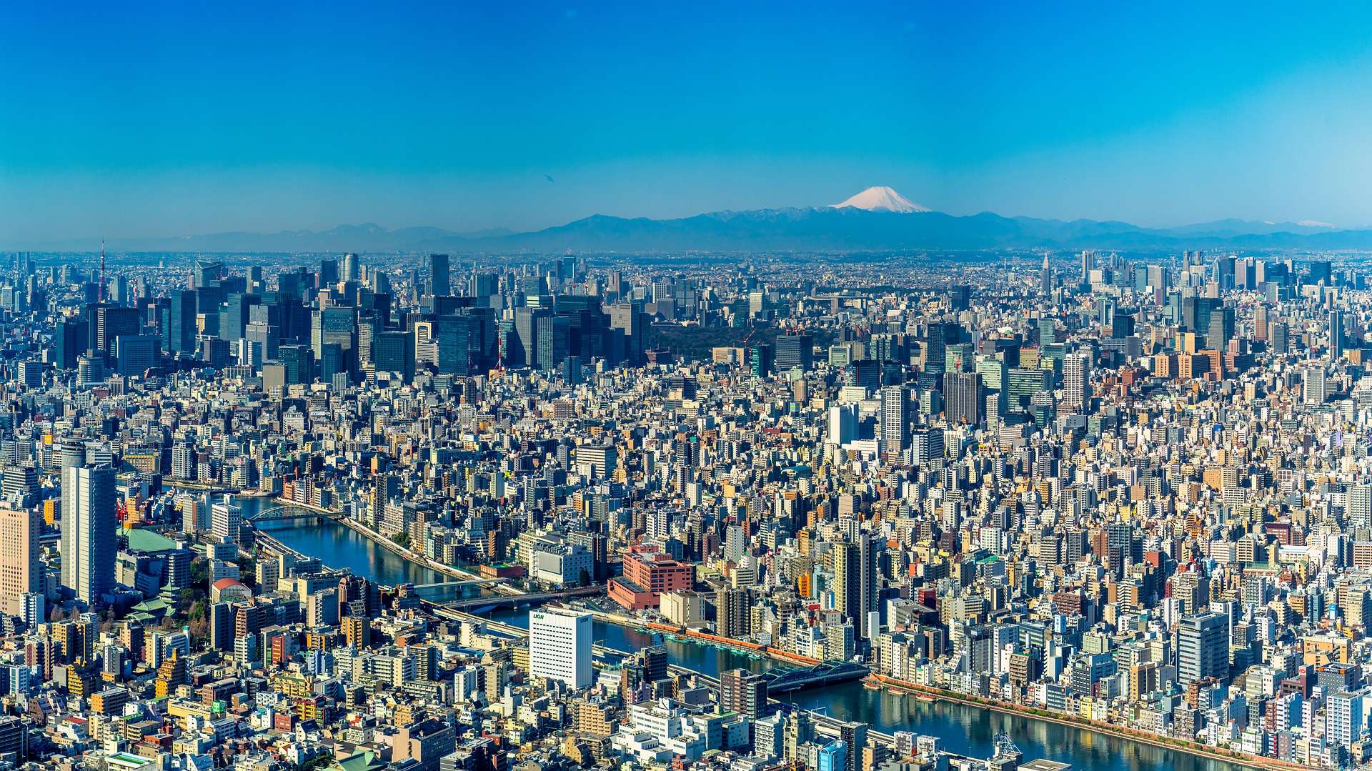 【東京23区】空き家数・空き家率ランキング！　東京の空き家の現状を知る